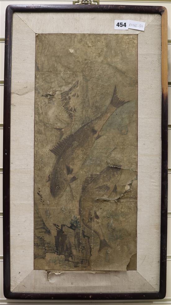 Chinese School, late Qing dynasty Study of fish 20.5 x 9in.